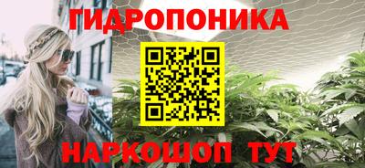 spice Новодвинск