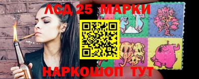 гашик Новокубанск