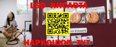 spice Новодвинск