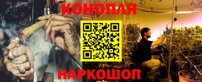 гашик Новокубанск