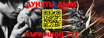 spice Новодвинск