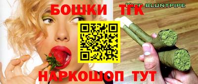 spice Новодвинск