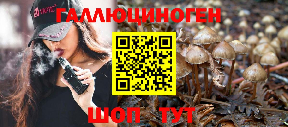 Галлюциногенные грибы Psilocybine cubensis  Вход с VPN  Черкесск 