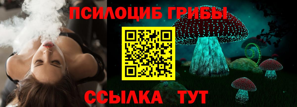 Галлюциногенные грибы GOLDEN TEACHER Черкесск